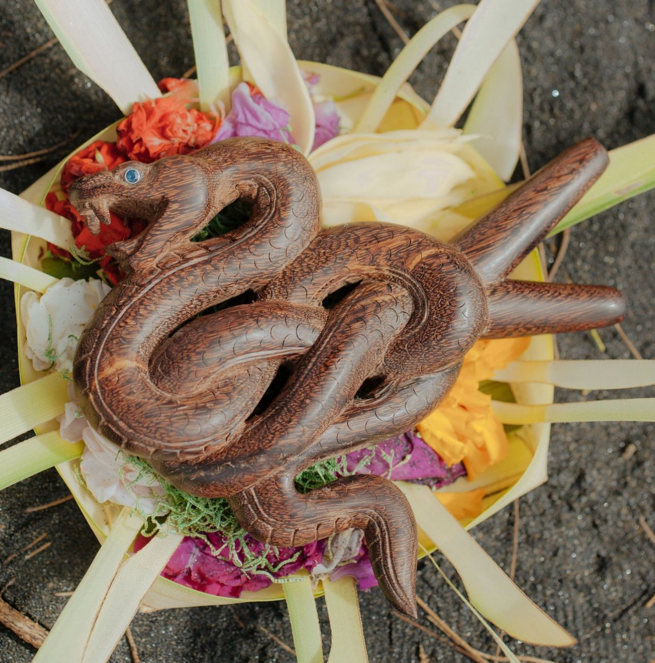 Serpent kuripe